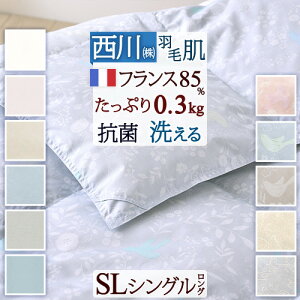 秋得★最大10%OFFクーポン ダウンケット 西川 シングル 羽毛肌掛け布団 夏 洗えるフランス産ホワイトダウン85% 0.3kg 羽毛ふとん 肌掛け布団 羽毛布団 夏用 抗菌 羽毛肌布団 シングルロング