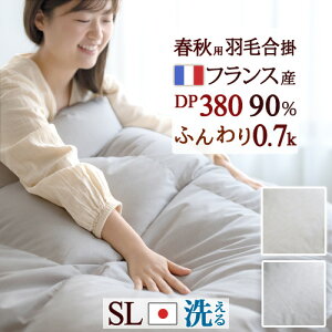 11/1聚11OFFN[| Hѕzc VO y|zcJo[Ttz Hэ|zc VOTCY HтӂƂ Hэ|ӂƂ tXYzCg_E90% 0.7kg DP380 GNZ