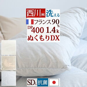 SiP5ő10OFFN[|[2916`8H]  Hѕzc Z~_u tXYzCg_E90% 1.4kg DP400 R yʐn { 􂦂 RCh[Ή RRtBbg ʂd