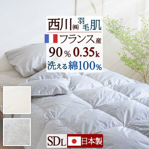 ~ ő10OFFN[| Hє|zc _EPbg Z~_u  ėp 􂦂 { Z~_uTCY HтӂƂ ӂw0.35kgxtXY_E90 DP400 100 Hѕz