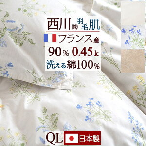 11/1聚11OFFN[| Hє|zc _EPbg NB[ NC[TCY  􂦂 { ӂw0.45kgxtXY_E90 HтӂƂ DP400 100%n Hѕzc ėp 