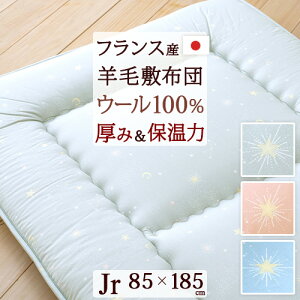 12/1聚11OFFN[| ~zc WjA { r E[100̒gdl قǂ悢݂ŐQSnQ 100ngpWjArѕ~ӂƂ q 琯 85×185cm