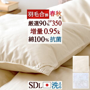 ڋʁ15OFFN[| Z~_u | 0.95kg RCh[ y|zcJo[Ttz Hѕzc HтӂƂ Hэ|ӂƂ tHp _E90% 100 R ԕt[ _