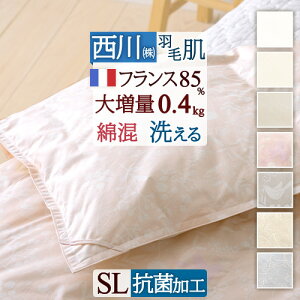 SiP5ő10OFFN[|[2616`18H] _EPbg  VO Hє|zc  􂦂 0.4kg VOTCY HтӂƂ tXYzCg_E85 |zc Hѕzc 