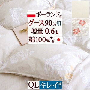 11/1聚11OFFN[| Hє|zc NB[ NC[TCY _EPbg { ėp |[hYO[X_E 0.6kg HтӂƂ Hѕzc 100 Hѕzc  |zc NC