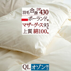 SiP5ő10OFFN[|[2816`8H] }U[O[X Hѕzc |zc NB[TCY NC[ O[X HтӂƂ Hэ|ӂƂ |[hYzCg}U[O[X_E93% 