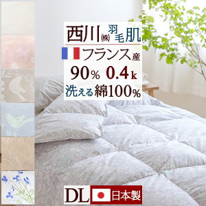 東京西川 掛け布団 通販 価格比較 価格 Com