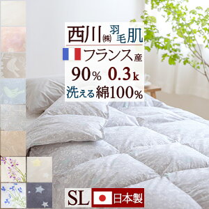 東京西川 洗える 羽毛布団 掛け布団 通販 価格比較 価格 Com