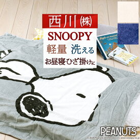 楽天市場 西川リビング スヌーピー 毛布の通販