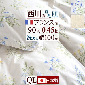 東京西川 洗える 羽毛布団 掛け布団 通販 価格比較 価格 Com 東京西川 洗える 羽毛布団 掛け布団 通販 価格比較 価格 Com