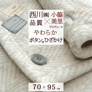 ブランケット 肩掛け 毛布 タオルケット 通販 価格比較 価格 Com