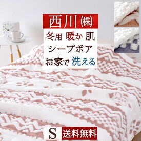 夏!早得★最大5,000円クーポン 合繊肌掛けふとん シングル 西川 送料無料 毛布兼用 東京西川 西川産業 リビング 肌布団 あったか ルミディ 冬用 ボア 洗える 肌掛け布団