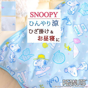 スヌーピー タオルケット キャラクターの人気商品 通販 価格比較 価格 Com