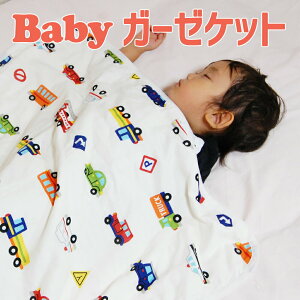 tWL xr[ 4d K[[Pbg ܃p[N 105×80cm { Ԃ uPbg 􂦂  100 100  K[[ Pbg t  H ~ j̎q ̎q  lC  킢 