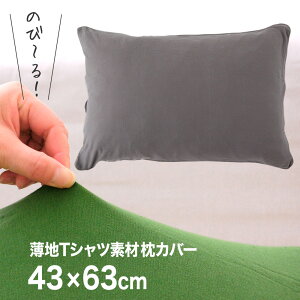 Jo[ 43×63cm n TVcf  _炩sP[X 100% ܂Jo[  ̂т̂ ̂т 100 43×63 TCY   􂦂  Lт t@Xi[ lC ʔ  t@