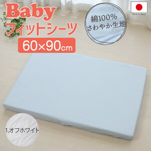 tWL xr[ tBbgV[c 60×90 ~jTCY 100 {  lC   킢 ~zc ~zc 100  60 90 Ԃ q qǂ G  ȒP y O V