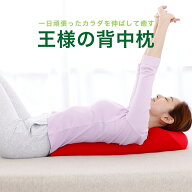 王様の背中枕 （背中スッキリ！自然と胸が開いて気持ちいいリラックス枕）ビーズクッション 反り腰 平背 …