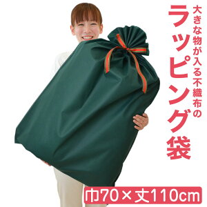 bsO 傫Ȃ̂bsOłsDz TCYi 70×110cmj O[ NX}Xv[g̕ɍœK y[ NX}X v[g bsO bsOpi