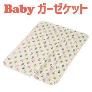 tWL xr[ 4d K[[Pbg tHXgtY 105×80cm { Ԃ uPbg 􂦂  100 100  K[[ Pbg t  H ~ j̎q ̎q  lC  