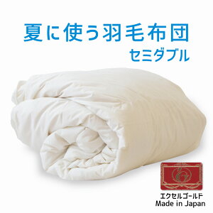 ĂɎgHѕzc Z~_uTCY 170×210 GNZS[hx COhY_E90 { ėp Hѕzc y Z~_u 170 210  lC GAR ₦ ΍  |zc 