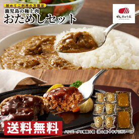 【初回限定】鹿児島 黒毛和牛 黒豚 ハンバーグ カレー 詰め合わせ ご当地グルメ 冷凍 肉祭り 送料無料 肉のぎゅう太 お一人様2点まで お肉 豚肉 国産 鹿児島黒豚 グルメ 食べ物 父の日 敬老の日 お中元 御中元 プレゼント 手作り 食べ物