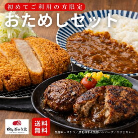 【初回限定】鹿児島 黒毛和牛 黒豚 とんかつ ハンバーグ カレー 詰め合わせ ご当地グルメ 冷凍 肉祭り 送料無料 肉のぎゅう太 お一人様2点まで お肉 豚肉 国産 鹿児島黒豚 グルメ 食べ物 父の日 敬老の日 お中元 御中元 プレゼント 手作り 食べ物