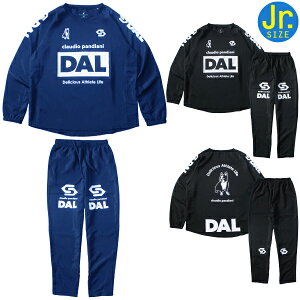 soccer junky TbJ[WL[ WjA g[jO sXe ㉺Zbg CP25D20KSET