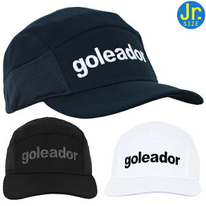 goleador SAh[ WjA ⊴ N[Lbv A-100K