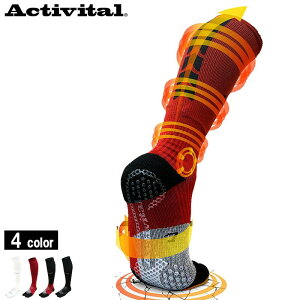 ANeBoC^/Activital @\O\bNX/tbgT|[^[nCubhiHRD1018EHRD1017j