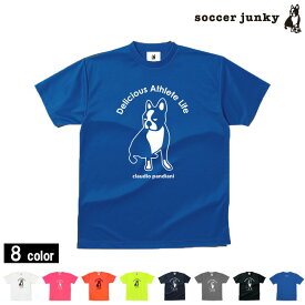 サッカージャンキー/soccer junky プラクティスシャツ/Pandiani Dry TEE（CP17044）