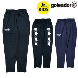 SAh[/goleador WjAW[Wpc/iWjAjNуX[X e[p[hpci냈[NؑցjiG-2383N-1j