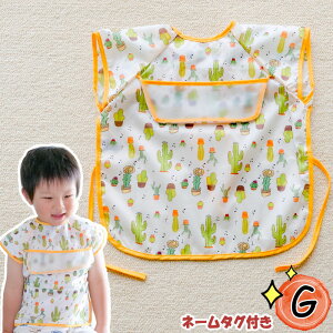 y3w+1v[gz |Pbgt 6HpGv ^Cv j̎q ̎q Hׂڂh~ hH @ xr[ LbY Ȃ m[X[u HGv HGv