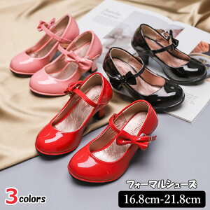 q LbY tH[}C GitH[}V[Y _XV[Y nCq[ XgbvV[Y ̎qp {t qC ̎q  蕨 wZ  w ݌ɏ o[Q