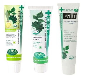 Dentiste feBX `[u^Cv 100g ޑIׂ