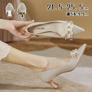 uC_V[Y q[  pvX [q[ q[ 3cm ׂ r Ȃ ɂȂ x[W EFfBOV[Y p[eB[V[Y tbg LL \  