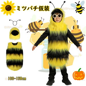 nEB  w ߑ RX`[ q~co`  nEB ߑ q  킢 q I nEBRXv w J`[V ϑ lR Ȃ肫 