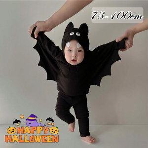 nEB 1 2 RE nEB xr[  Ԃ  3_Zbg t[ht  nEB RXv q nEB   q  nEB xr[ j