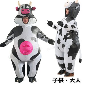 RXv nEB 傫TCY Y l nEB RXv fB[X nEB  l ȒP l nEB ߑ  Ct[^uRX`[  ʔ 