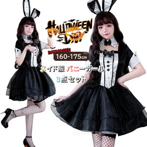 nEB  l  Ch RXv oj[K[ ubN  WjA fB[X nEB[ߑ s[X ZNV[  ϑ 3_Zbg ETM  e ~~  