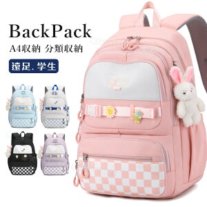 wbN ̎q ʊw ؍ `FbN bN j̎q w bN ̎q wObY LbY w fCpbN ʏm K Cws n  蕨 bN LbY 