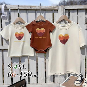 NR[f eq Zbg }}  낢 eq yAbN Ԃ eq  p[X S   q eqyA pp }} tVc eqR[f eq yAtVc x[W uE 