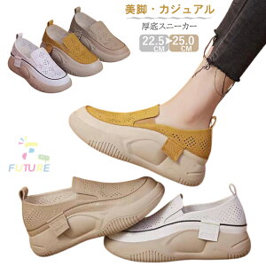 T{ Xj[J[ bV IV Xj[J[ fB[X  q C zCg CG[  V[Y ʊw Xj[J[ Ȃ  gAbv  y ؍ ʋ 