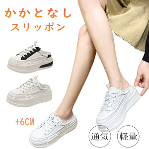 Xb| fB[X ƂȂ y Xj[J[  6cm up r ȂC y ₷ T_Xj[J[ ʋC T{ Ȃ E ₷ ɂ  bV 