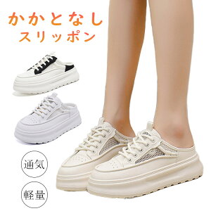 Xb| fB[X ƂȂ y Xj[J[  4cm up r ȂC y ₷ T_Xj[J[ ʋC T{ Ȃ E ₷ ɂ  bV 