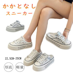 Xb|fB[X ƂȂ y Xj[J[ 4cm up  r ȂC y ₷ T_Xj[J[ ʋC T{ Ȃ E ₷ ɂ  bV J