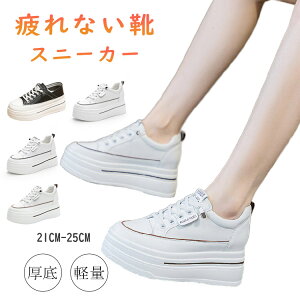 Xj[J[ 8cm fB[X  y LoX Xj[J[  ؍  ₷ ɂ nC\[ r ubN zCg gAbv  fB[X [Jbg