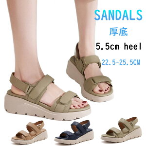 ȂT_ fB[X  X|[cT_ ꂢ Ȃ T_ 5.5cm ItBXT_ y IV r fB[XT_ ₷ ؂  r[`T