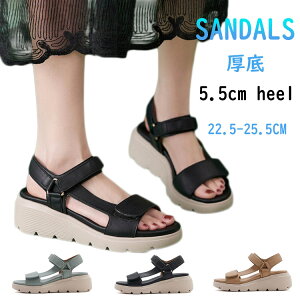 ȂT_ fB[X  X|[cT_ Ȃ ꂢ T_ y 5.5cm  ItBXT_ fB[XT_ r ₷  r[`T_ 