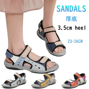 ȂT_ fB[X  X|[cT_ ꂢ T_ y 3cm  ItBXT_ ₷ fB[XT_ r ؂  r[`T_ 