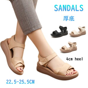 ȂT_ fB[X  X|[cT_ y T_ ₷ X|[eBT_ Ȃ   fB[XT_ }} ItBXT_ r d X